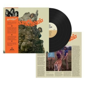 Synanthesia - Synanthesia (Vinyl Lp) in der Gruppe VINYL / Pop-Rock bei Bengans Skivbutik AB (4258406)