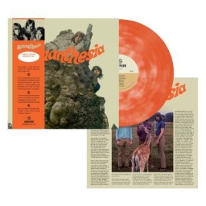 Synanthesia - Synanthesia (Marbled Vinyl Lp) in der Gruppe VINYL bei Bengans Skivbutik AB (4258407)