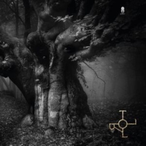 Drott - Troll in der Gruppe VINYL / Norsk Musik,Pop-Rock bei Bengans Skivbutik AB (4259305)