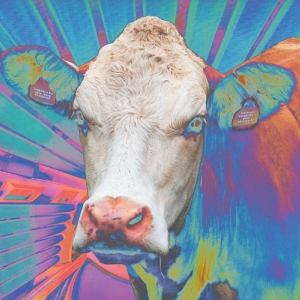 Eyes Of Others - Eyes Of Others in der Gruppe CD / Hårdrock,Pop-Rock bei Bengans Skivbutik AB (4259314)