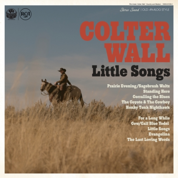Wall Colter - Little Songs in der Gruppe CD / Bestseller bei Bengans Skivbutik AB (4260847)