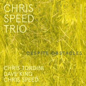 Chris Speed Trio - Despite Obstacles in der Gruppe CD / Jazz bei Bengans Skivbutik AB (4261651)