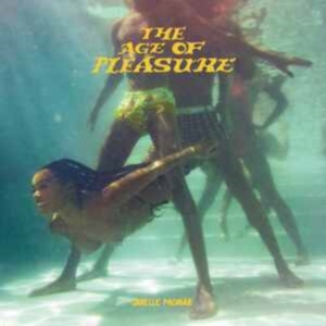 JANELLE MONÁE - THE AGE OF PLEASURE in der Gruppe CD / RnB-Soul bei Bengans Skivbutik AB (4262933)