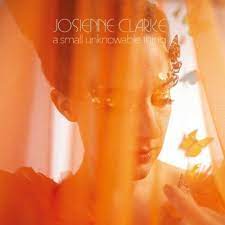 Josienne Clarke - A Small Unknowable Thing in der Gruppe CD bei Bengans Skivbutik AB (4263583)