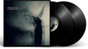 Pink Floyd - Transmission 1968 (2 Lp Vinyl) in der Gruppe VINYL / Pop-Rock bei Bengans Skivbutik AB (4265182)