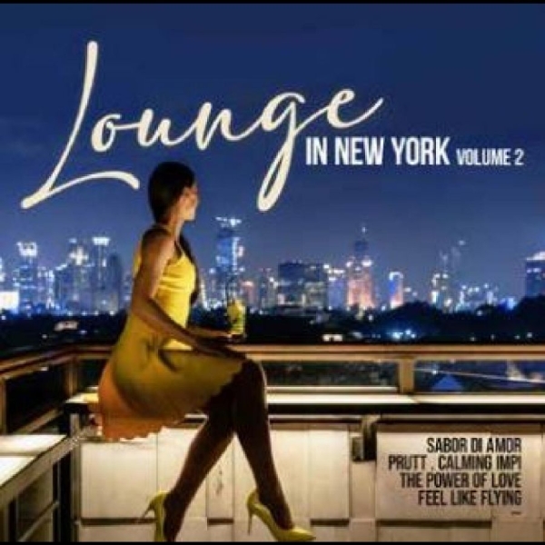 Various Artists - Lounge In New York Vol. 2 in der Gruppe MUSIK / Dual Disc / Pop-Rock bei Bengans Skivbutik AB (4265513)