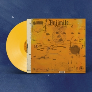 ANJIMILE - THE KING (YELLOW VINYL) in der Gruppe VINYL / Pop-Rock bei Bengans Skivbutik AB (4265782)