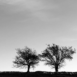 Allen Jon - A Heightened Sense Of Everything in der Gruppe VINYL bei Bengans Skivbutik AB (4266319)