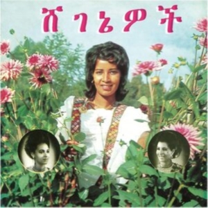 Aselefech Ashine & Getenesh Kebret - Beauties in der Gruppe VINYL / Jazz bei Bengans Skivbutik AB (4266618)