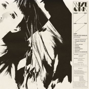 Wye Oak - Every Day Like The Last: Collected in der Gruppe VINYL / Pop-Rock bei Bengans Skivbutik AB (4266620)
