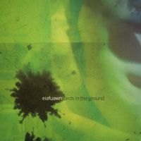 Eiafuawn - Birds In The Ground in der Gruppe VINYL / Pop-Rock bei Bengans Skivbutik AB (4266624)