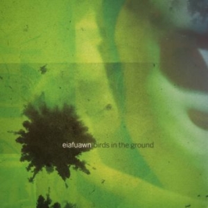 Eiafuawn - Birds In The Ground (Ltd White Viny in der Gruppe VINYL / Pop-Rock bei Bengans Skivbutik AB (4266625)
