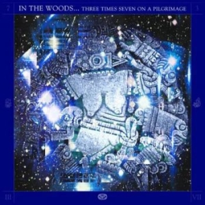In The Woods - Three Times Seven On A Pilgrimage ( in der Gruppe VINYL / Hårdrock bei Bengans Skivbutik AB (4266642)