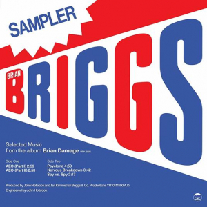 Brian Briggs - Selected Music From The Album Brian Damage in der Gruppe VINYL / Vinyl RnB-Hiphop bei Bengans Skivbutik AB (4266708)