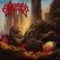 Graceless - Shadowlands in der Gruppe Övrigt /  bei Bengans Skivbutik AB (4275018)