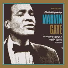 Gaye Marvin - In The Beginning (Vinyl Lp) in der Gruppe VINYL / Pop-Rock bei Bengans Skivbutik AB (4275775)