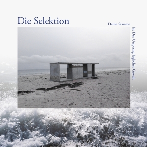 Die Selektion - Deine Stimme Ist Der Ursprung Jeglicher Gewalt in der Gruppe VINYL / Dance-Techno,Elektroniskt bei Bengans Skivbutik AB (4275813)