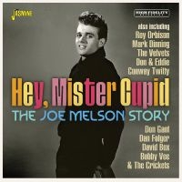 Joe Melson Story The - Hey, Mister Cupid in der Gruppe CD / Pop-Rock bei Bengans Skivbutik AB (4275901)