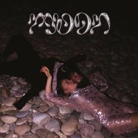 Fleeb - Moon in der Gruppe VINYL bei Bengans Skivbutik AB (4276002)