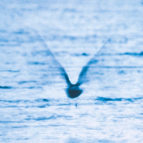RYO FUKUI - Mellow Dream in der Gruppe VINYL / Jazz/Blues bei Bengans Skivbutik AB (4278744)
