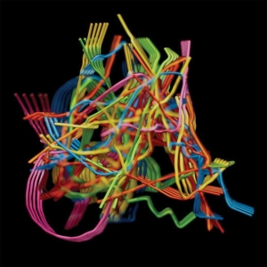 Wong Dustin - Perpetual Morphosis in der Gruppe CD / Pop-Rock bei Bengans Skivbutik AB (4279606)