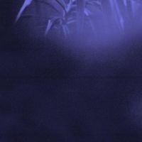 Asra - Nocturnal Journey in der Gruppe CD / Jazz bei Bengans Skivbutik AB (4280036)