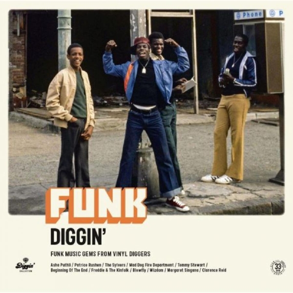 Various Artists - Funk Diggin' in der Gruppe VINYL / Bestseller bei Bengans Skivbutik AB (4281313)