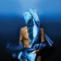 Banhart Devendra - Flying Wig in der Gruppe CD / Hårdrock,Pop-Rock bei Bengans Skivbutik AB (4281349)
