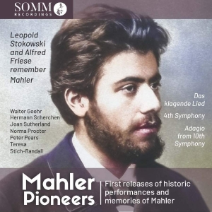 Mahler Gustav - Mahler: Pioneers in der Gruppe CD / Klassiskt bei Bengans Skivbutik AB (4281415)