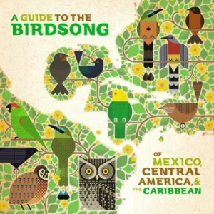Various Artists - A Guide To The Birdsongs Of Mexico, in der Gruppe VINYL bei Bengans Skivbutik AB (4281690)