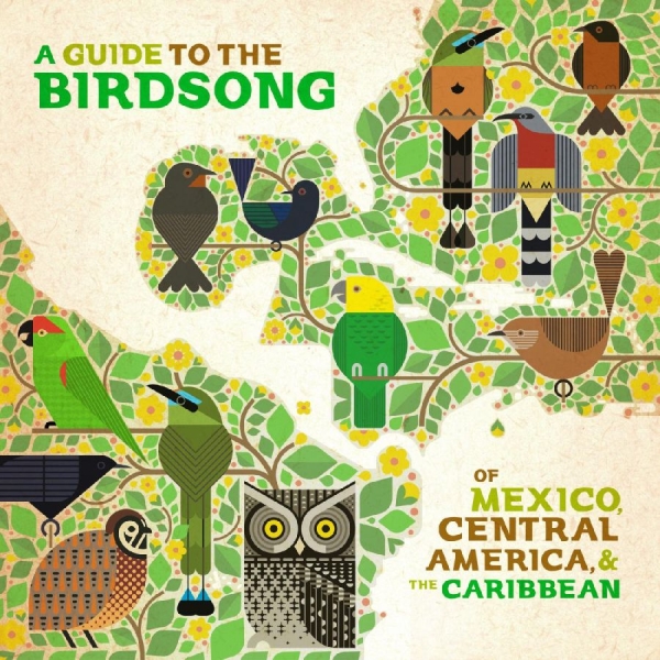 Various Artists - A Guide To The Birdsongs Of Mexico, in der Gruppe VINYL / Bestseller bei Bengans Skivbutik AB (4281690)