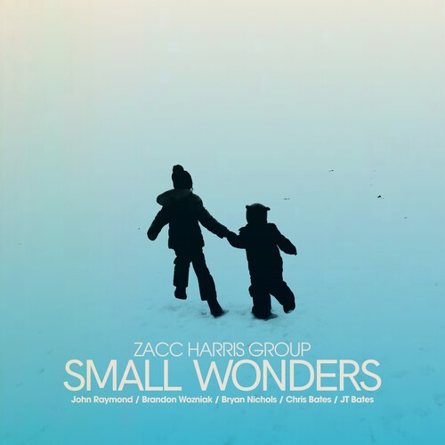 Zacc Harris Group - Small Wonders in der Gruppe CD / Jazz/Blues bei Bengans Skivbutik AB (4281943)