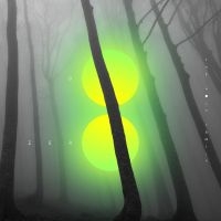 Holy Family The - Go Zero in der Gruppe CD / Pop-Rock bei Bengans Skivbutik AB (4282132)