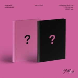 Stray Kids - MAXIDENT Random ver. in der Gruppe Minishops / K-Pop Minishops / Stray Kids bei Bengans Skivbutik AB (4286947)