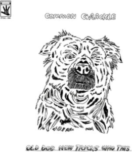 Common Grackle - Old Dog New Tricks Who This in der Gruppe VINYL / Pop-Rock bei Bengans Skivbutik AB (4287337)