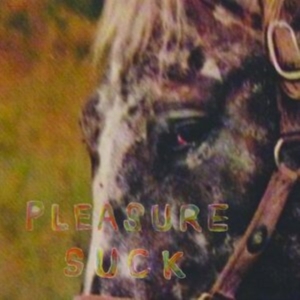 Spirit Of The Beehive - Pleasure Suck (Transparent Orange V in der Gruppe VINYL / Pop-Rock bei Bengans Skivbutik AB (4287751)