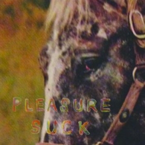 Spirit Of The Beehive - Pleasure Suck (Transparent Orange V in der Gruppe VINYL / Pop-Rock bei Bengans Skivbutik AB (4287751)