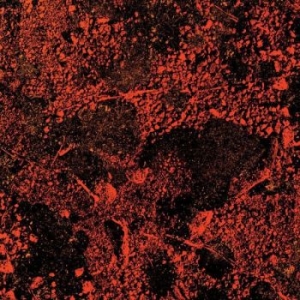 King Gizzard & The Lizard Wizard - Murder Of The Universe (Live At Red in der Gruppe VINYL / Pop-Rock bei Bengans Skivbutik AB (4287755)