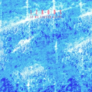 12 Rods - If We Stayed Alive (Indie Exclusive in der Gruppe VINYL / Rock bei Bengans Skivbutik AB (4287856)