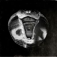 Mommyheads The - Genius Killer in der Gruppe VINYL / Pop-Rock bei Bengans Skivbutik AB (4287977)