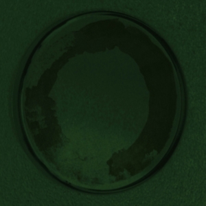 Personable - Oyster in der Gruppe VINYL / Pop-Rock bei Bengans Skivbutik AB (4289143)