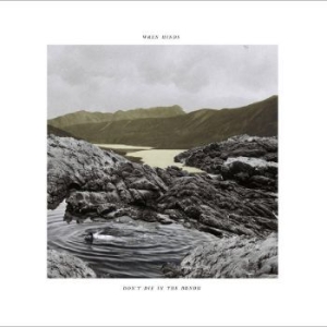 Hinds Wren - Don?T Die In The Bundu in der Gruppe VINYL / Hårdrock bei Bengans Skivbutik AB (4290444)