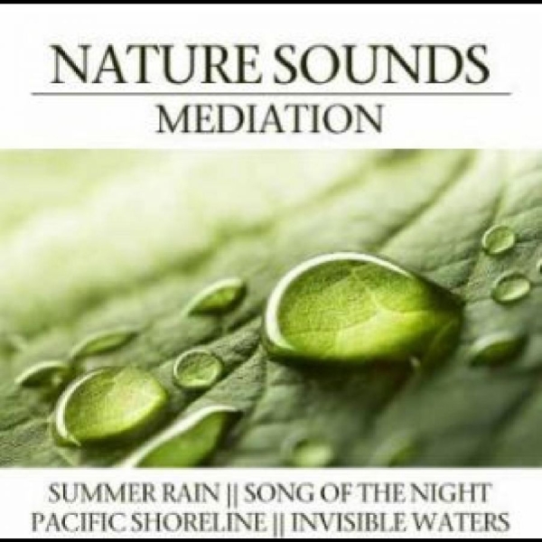 Various Artists - Nature Sounds Meditation in der Gruppe CD / Bestseller bei Bengans Skivbutik AB (4290593)