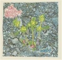 Polyphonic Spree The - Wait in der Gruppe CD / Pop-Rock bei Bengans Skivbutik AB (4291046)
