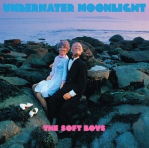 Soft Boys The - Underwater Moonlight in der Gruppe CD bei Bengans Skivbutik AB (4291060)
