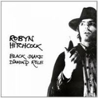 Hitchcock Robyn - Black Snake Diamond Role in der Gruppe CD / Pop-Rock bei Bengans Skivbutik AB (4293532)