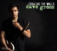 Gross Dave - Crawling The Walls in der Gruppe CD / Blues bei Bengans Skivbutik AB (4293556)
