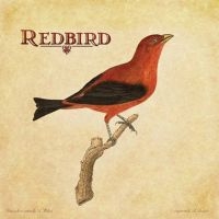 Redbird - Redbird in der Gruppe CD bei Bengans Skivbutik AB (4294162)
