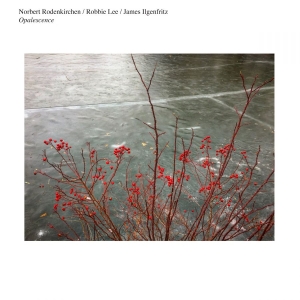 Norbert Rodenkirchen/Robbie Lee/Jam - Opalescence in der Gruppe CD / Pop-Rock bei Bengans Skivbutik AB (4294595)