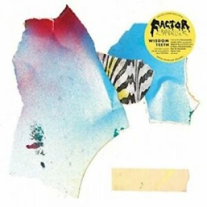 Factor Chandelier - Wisdom Teeth in der Gruppe CD / Hip Hop-Rap,Pop-Rock bei Bengans Skivbutik AB (4295207)